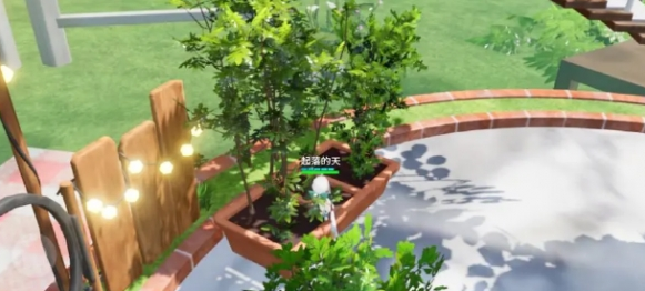 矮栅栏附近的盆栽中