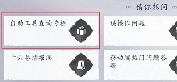 查看充值记录