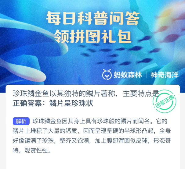 珍珠鳞金鱼