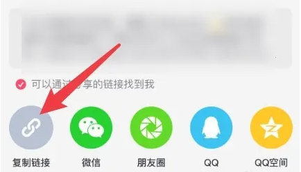 复制链接按钮