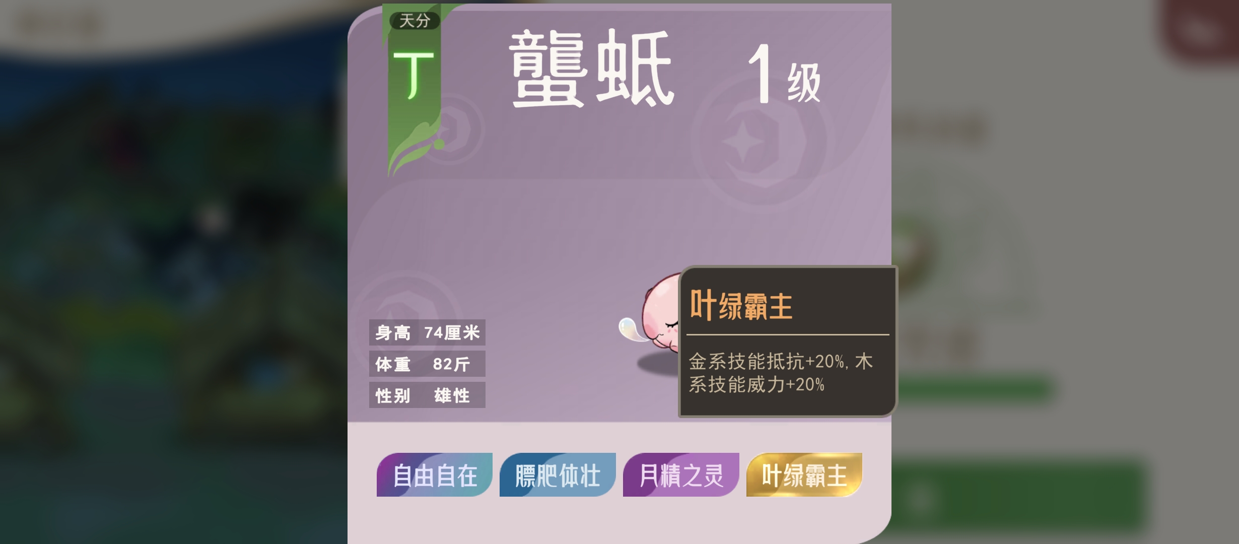 霸主词条5