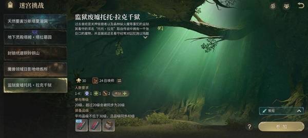 副本进入选项