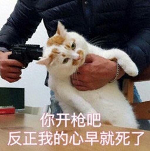 《上古世纪》停运,为何未能成为韩游RPG之王?