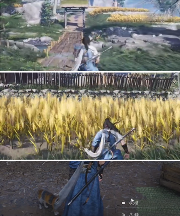 最终猫咪捕获动画截图