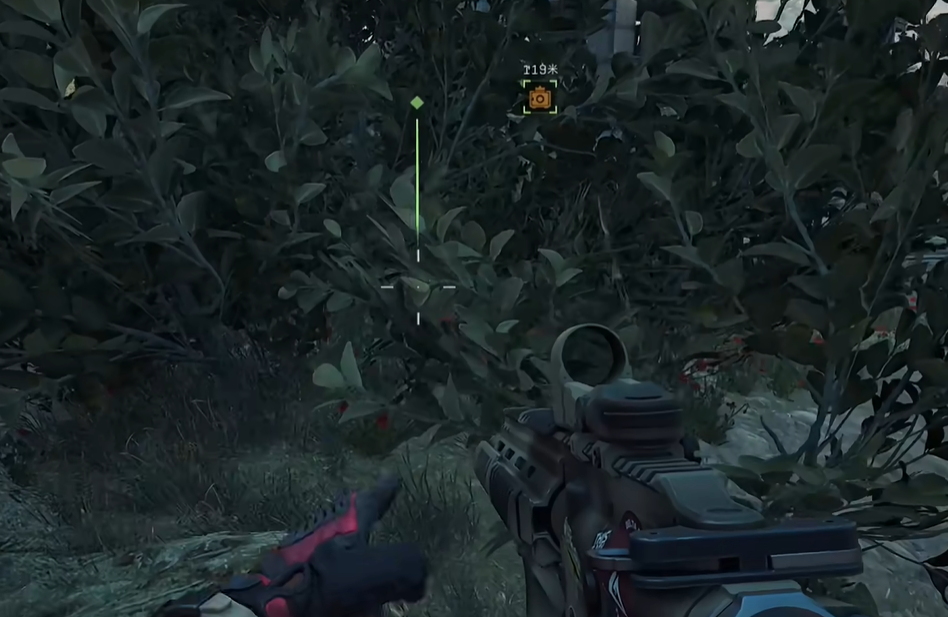 草丛中鸟窝位置