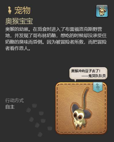 宠物技能展示