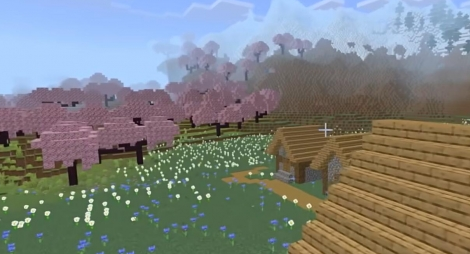 种子二场景示意图