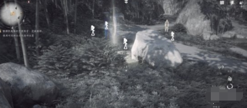 观察状态示意图