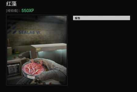 植物学主题界面