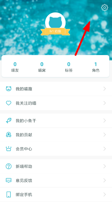 设置入口界面