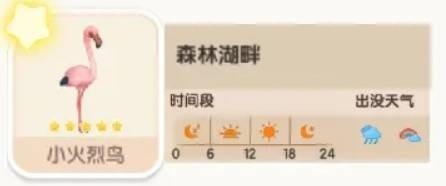 森林湖畔小火烈鸟位置