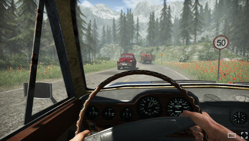 边境检察官动作场景