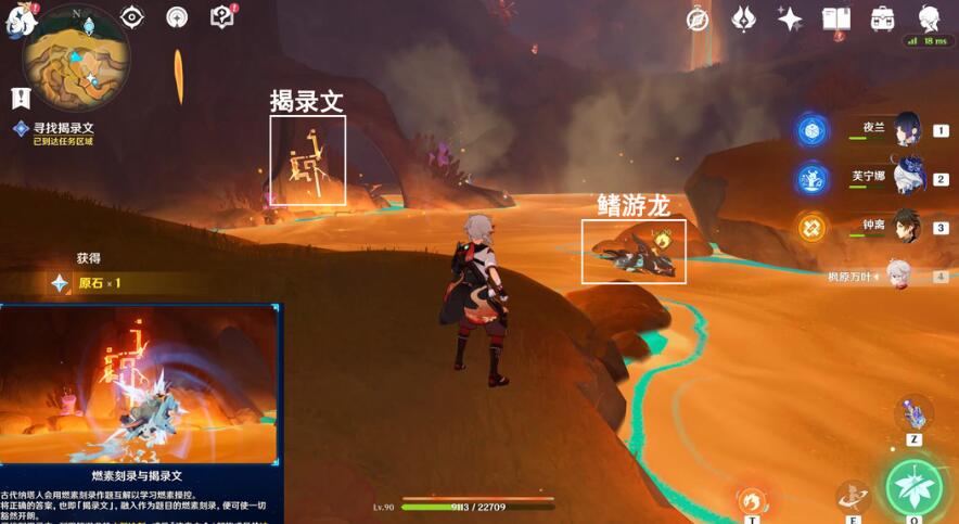 鳍游龙操作
