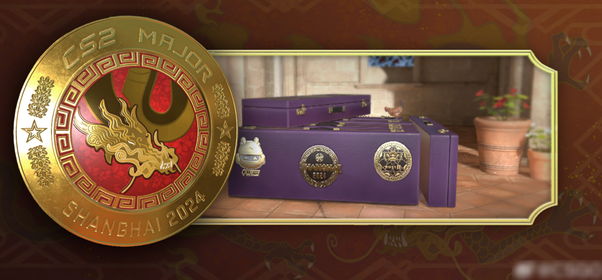 观众通行证示意图