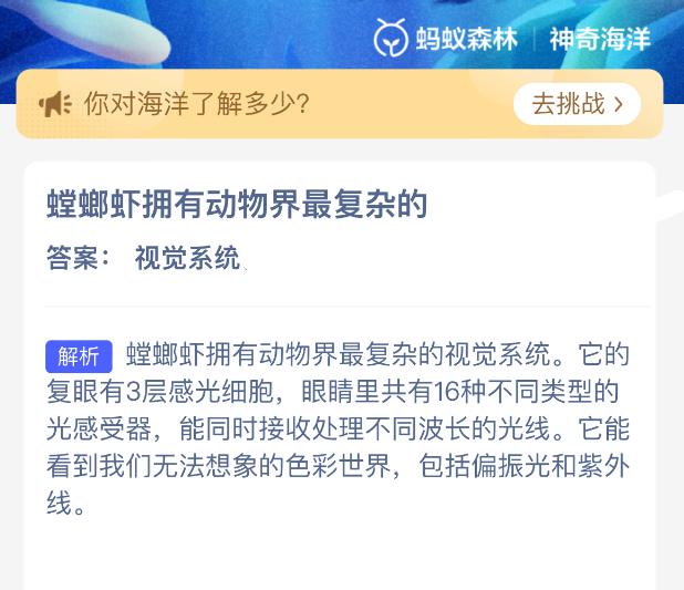 螳螂虾眼睛特写