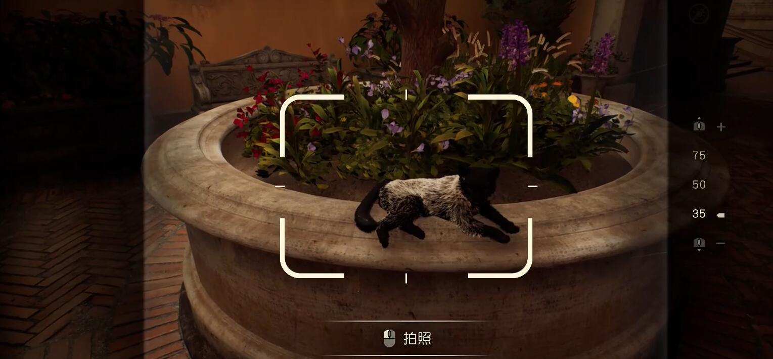 拍摄视角