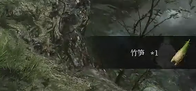 竹子获取界面