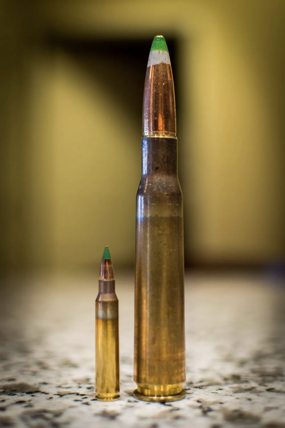 .50 BMG子弹尺寸对比
