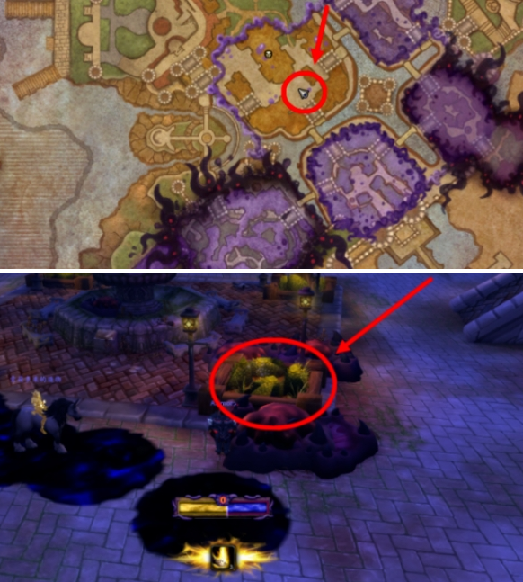 教堂区马蹄铁位置