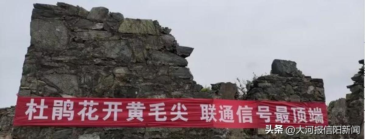 信阳联通云网运营中心,助力茶乡数字化