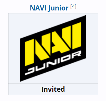 Navi Jr.战队标志