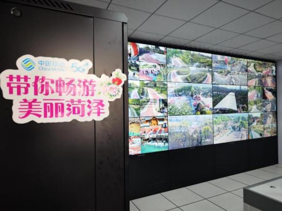 菏泽牡丹如何绽放新光彩?数智化赋能来解答