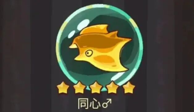 同心金鱼适用阵容