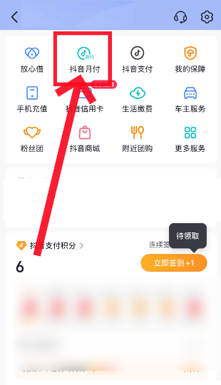 月付功能入口