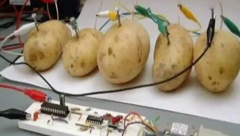 土豆服务器梗图