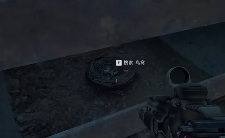 西侧管道鸟窝位置