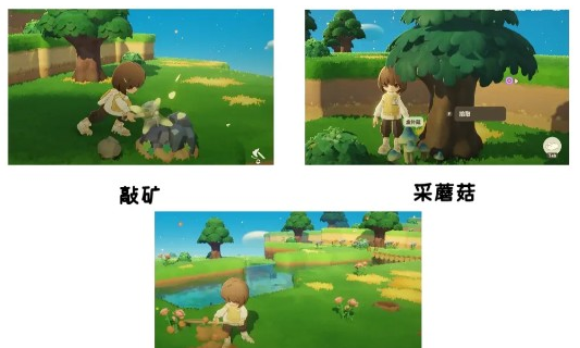 红色阿奇宝获取地点