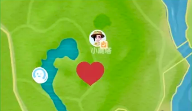 露营小橘雀实拍示例