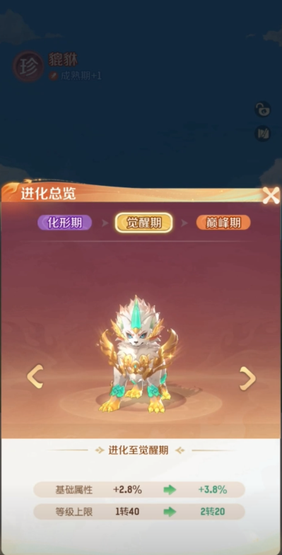 阵容搭配示意图