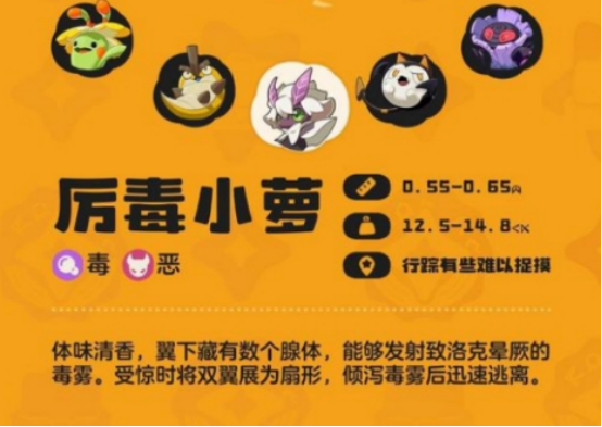 阵容搭配示意图