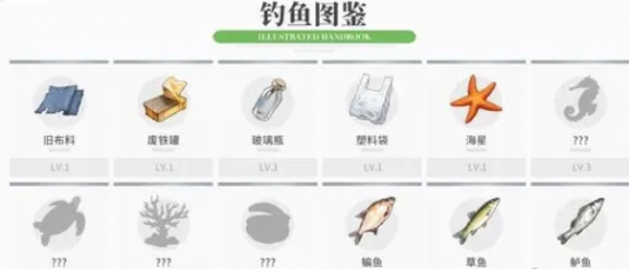 钓鱼过程展示