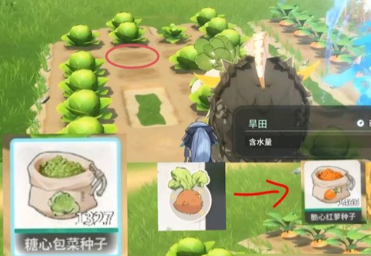 水田系统示例