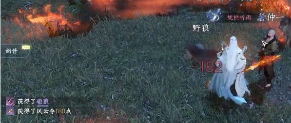 野狼战斗场景