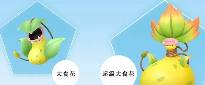 超级进化前的大食花