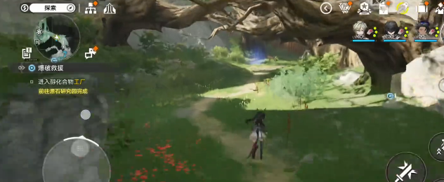 酮化植物野外采集位置