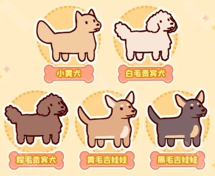我的休闲时光狗狗怎么领养?四天步骤详解