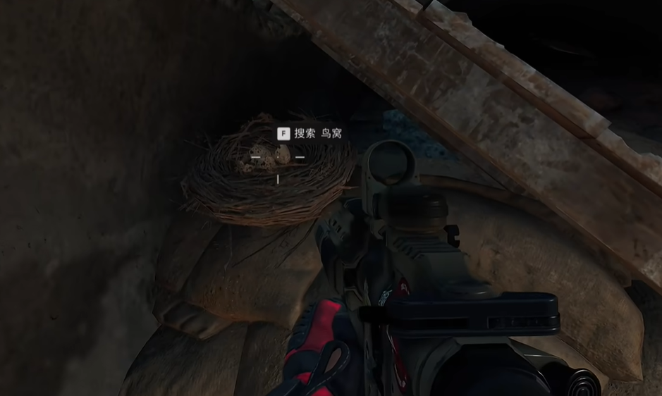 桥下鸟窝位置