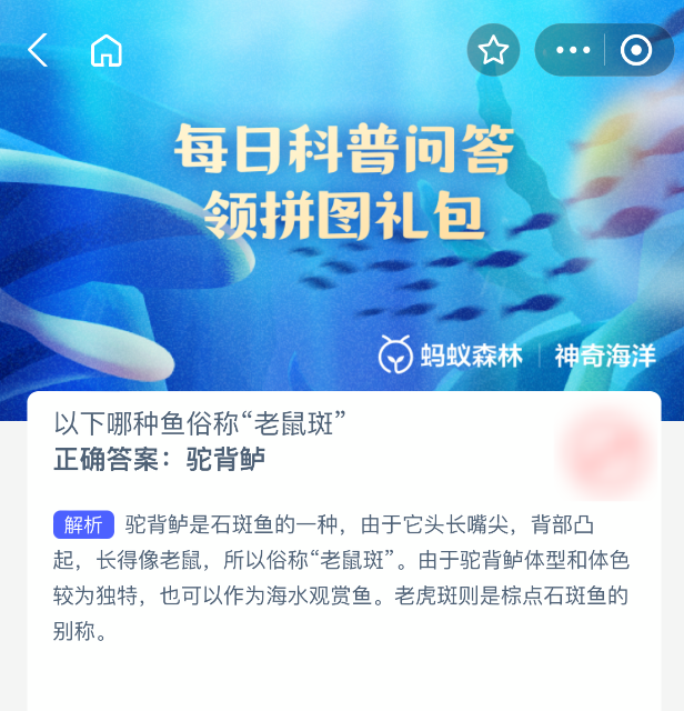 以下哪种鱼俗称“老鼠斑”?探索神奇海洋:今日问题与答案-景澄手游网