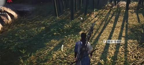 猫猫·猪油坨位置示意图