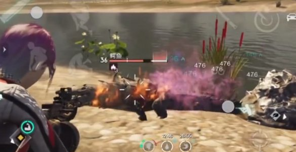 鳄鱼蛋孵化与饲料示意图