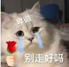 哈尔滨联通“花式挽留”携号转网用户遭吐槽-赫兹号卡网-赫兹通讯