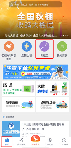 咕咕信鸽训放:3秒生成赛线,比等外卖还快-景澄手游网