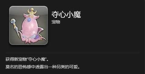 黑衣森林鉴定位置