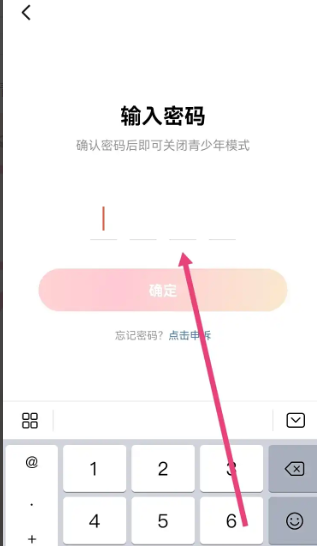 密码输入界面