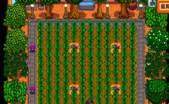 不同作物酿酒收益对比