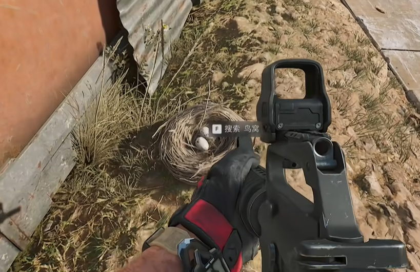 雷区边缘鸟窝位置